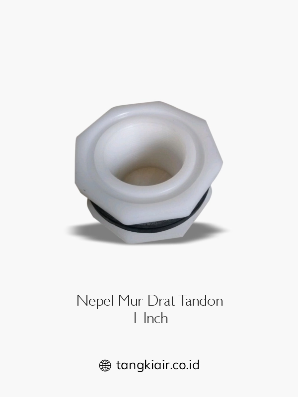 4. Nepel Mur Drat Tandon 1 Inch