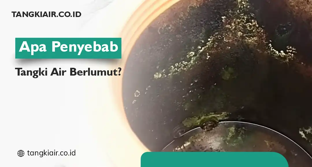 Penyebab Tangki Air Berlumut
