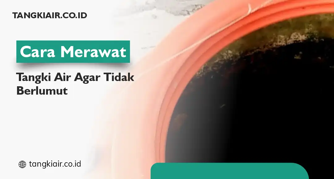 Cara Merawat Tangki Agar Tidak Berlumut
