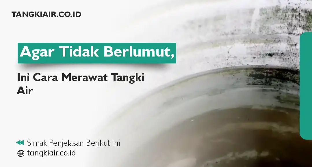 Agar Tidak Berlumut, Ini Cara Merawat Tangki Air