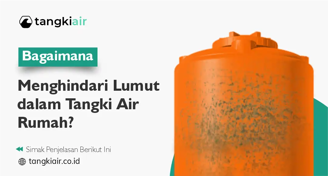 Bagaimana Menghindari Lumut Dalam Tangki
