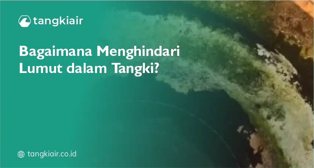 Bagaimana Menghindari Lumut Dalam Tangki?