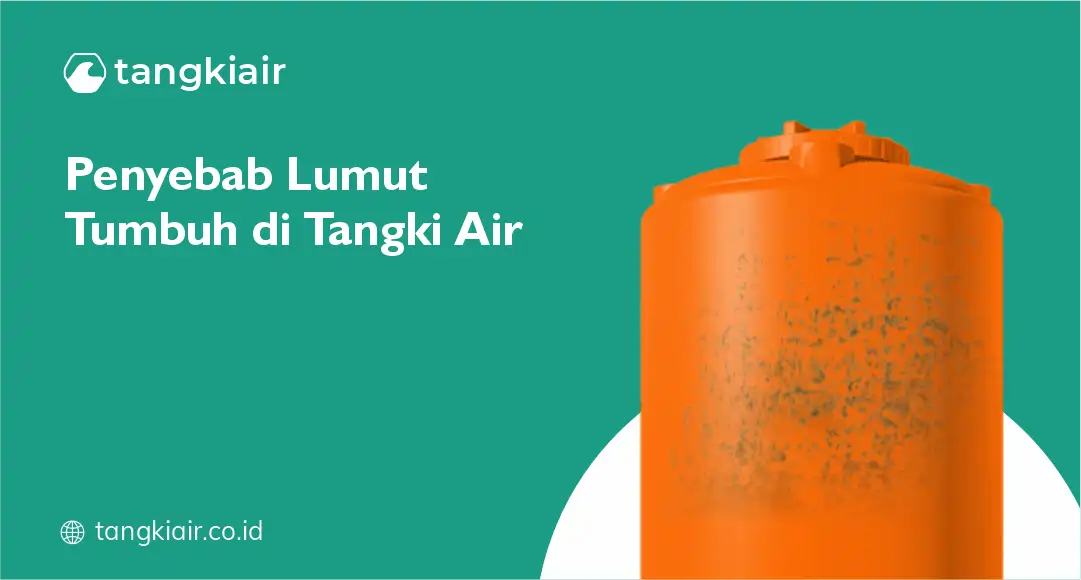 Penyebab Lumut Tumbuh Di Tangki Air