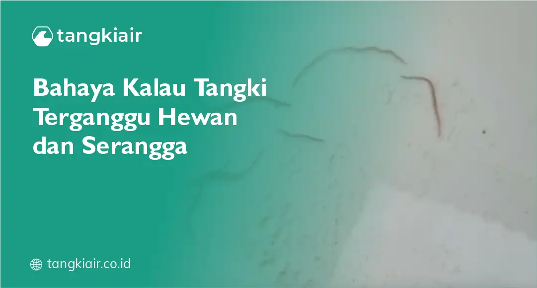 Bahaya Kalau Tangki Terganggu Hewan dan Serangga