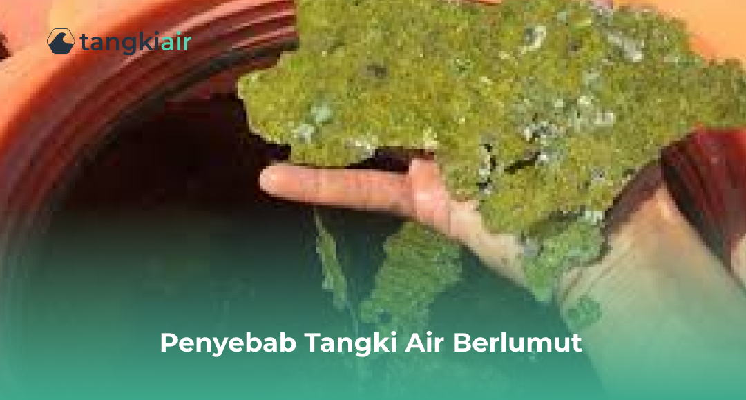 Penyebab Tangki Air Berlumut