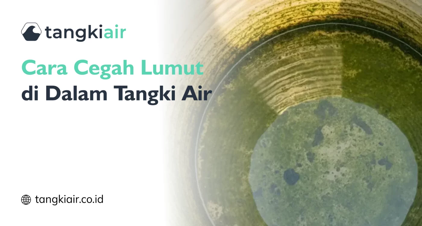 Cara Cegah Lumut di Dalam Tangki Air