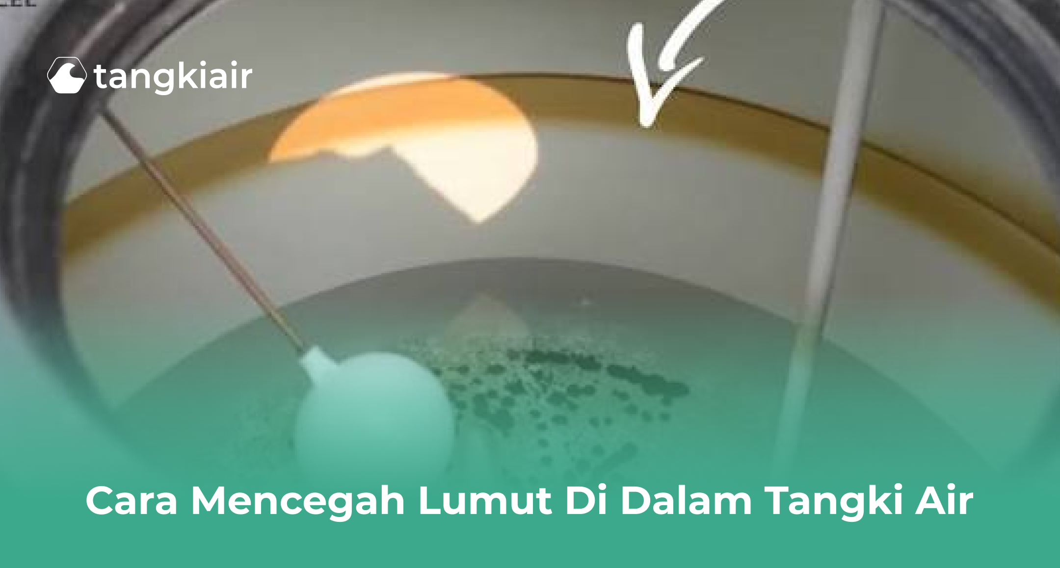Cara Mencegah Lumut di Dalam Tangki Air