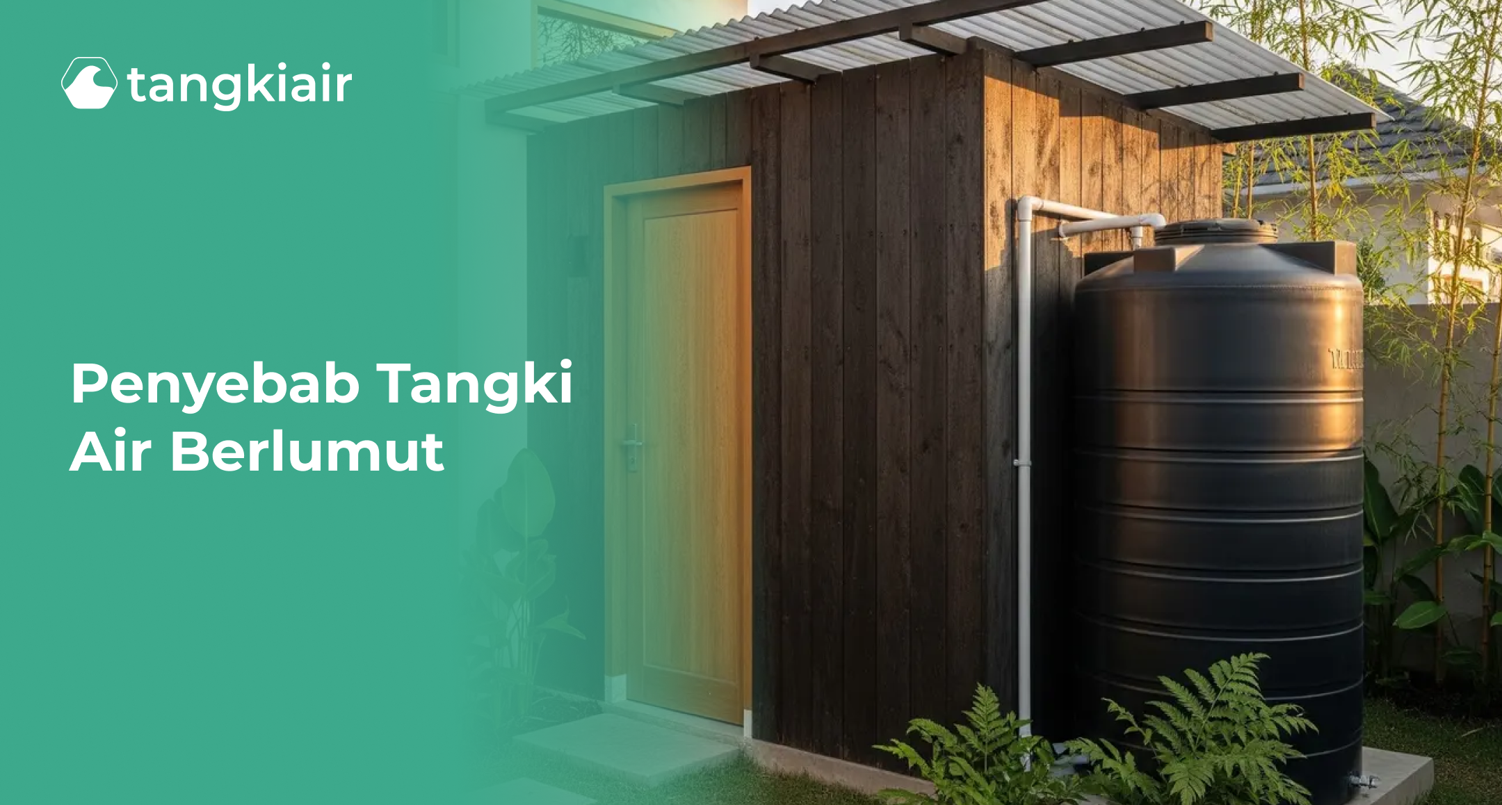 Penyebab Tangki Air Berlumut