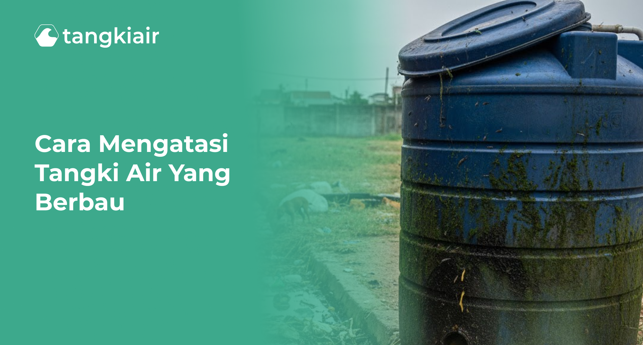 Cara Mengatasi Tangki Air yang Berbau