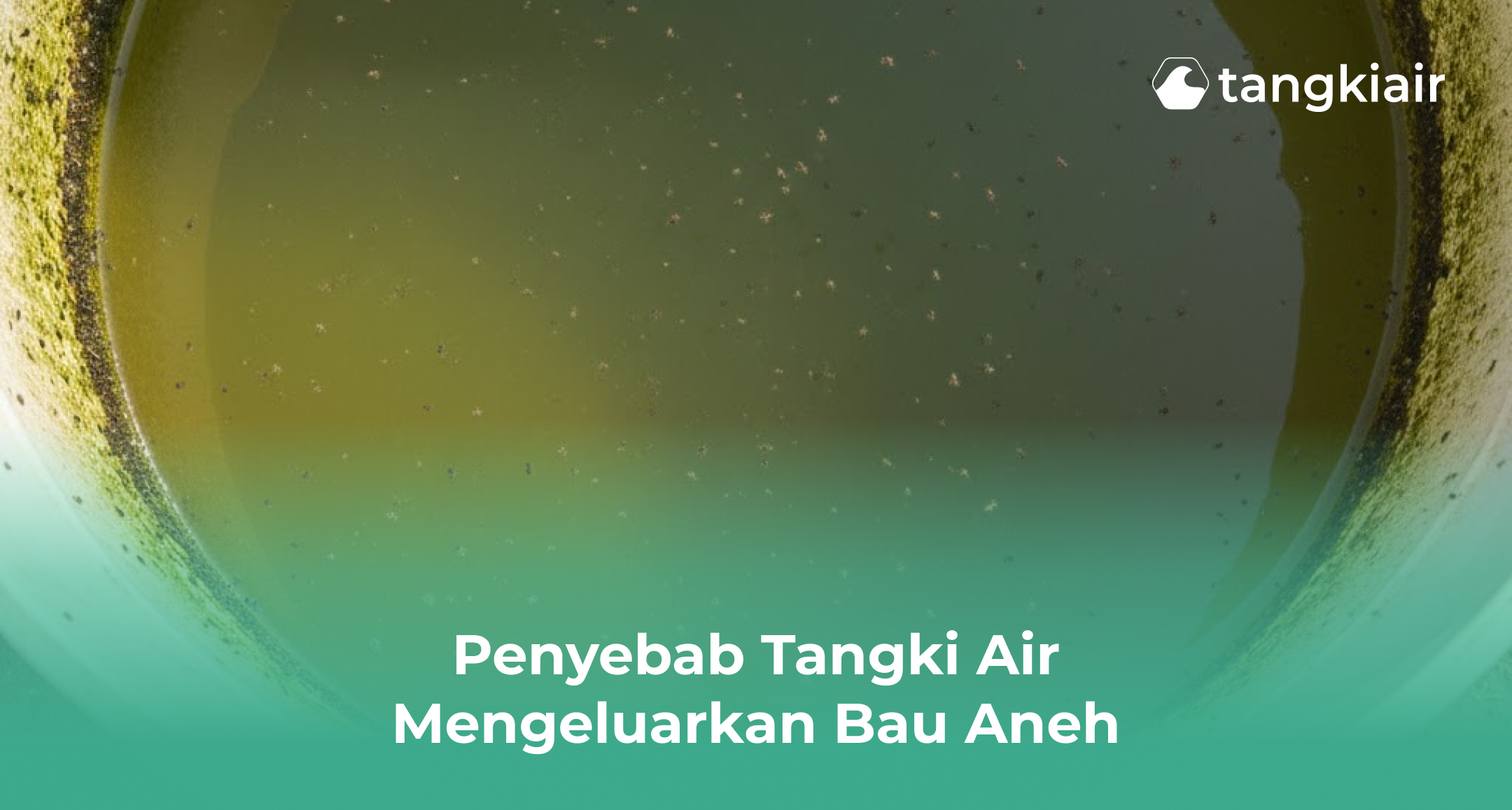 Penyebab Tangki Air Mengeluarkan Bau Aneh