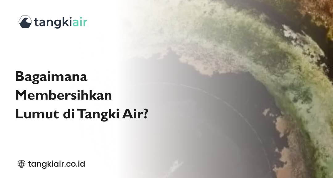 Tangki Air Prime, Anti Lumut dan Bakteri