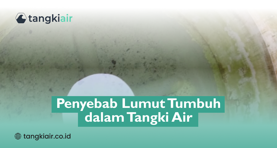 Penyebab Lumut Tumbuh Dalam Tangki Air