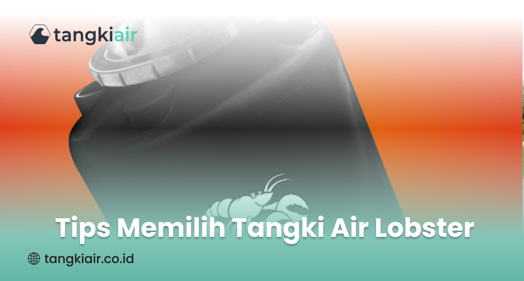 Tips Memilih Tangki Air Lobster