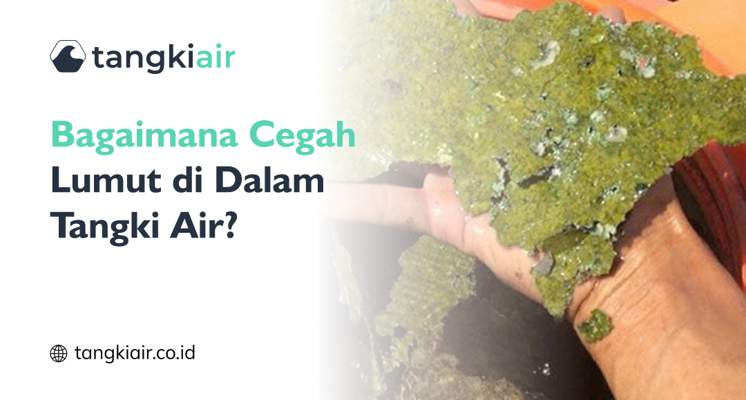 Cegah Lumut Di Dalam Tangki