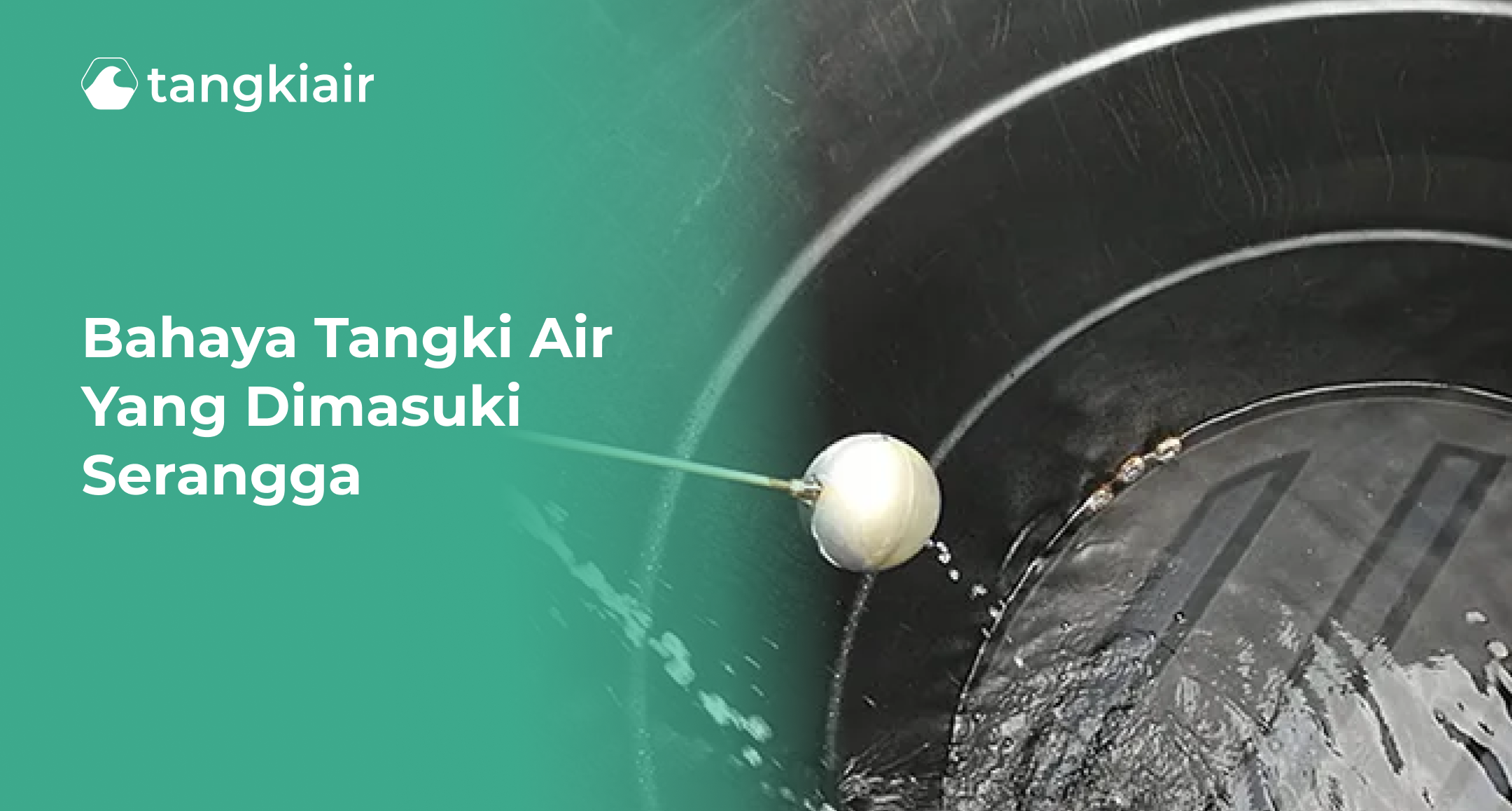 Bahaya Tangki Air yang Dimasuki Serangga