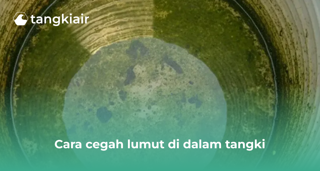 Cara Cegah Lumut Di Dalam Tangki