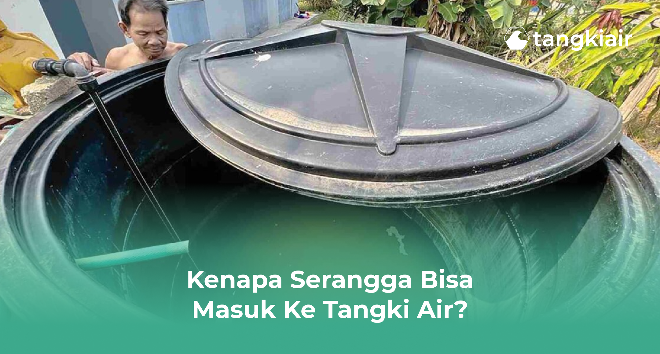 Kenapa Serangga Bisa Masuk ke Tangki Air?