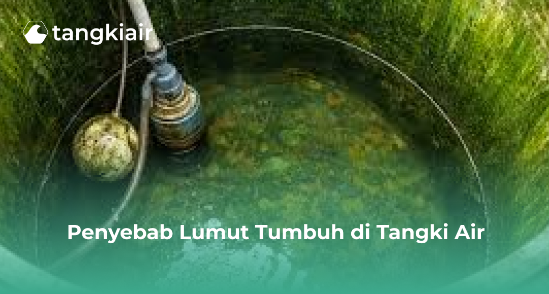 Penyebab Lumut Tumbuh di Tangki Air