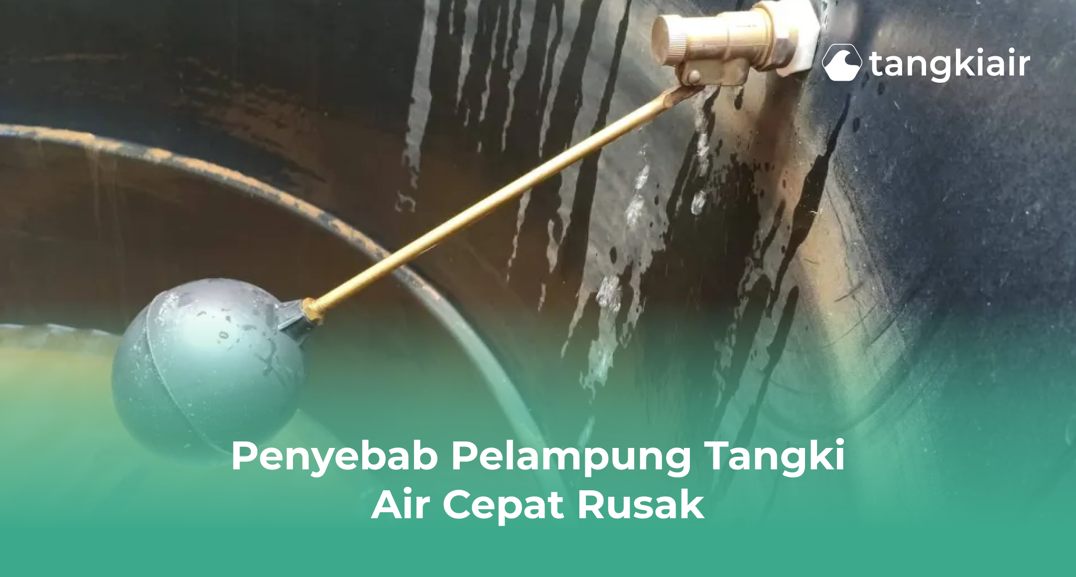 Penyebab Pelampung Tangki Air Cepat Rusak