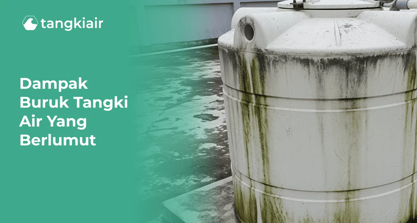 Dampak Buruk Tangki Air yang Berlumut